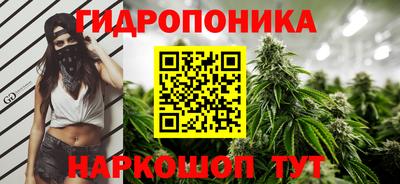 винт Шелехов