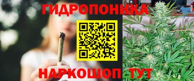 винт Шелехов