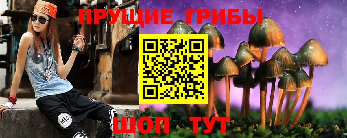 Кизилюрт  где можно купить   Вход с VPN  Псилоцибиновые грибы мицелий 