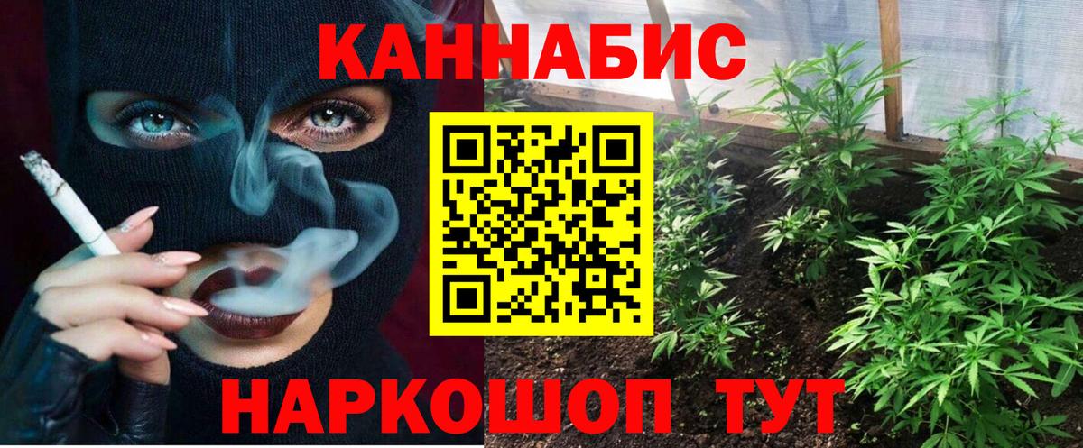 Конопля AK-47  Вход с VPN  Марихуана тримм  Кизилюрт  Бошки марихуана Amnesia 